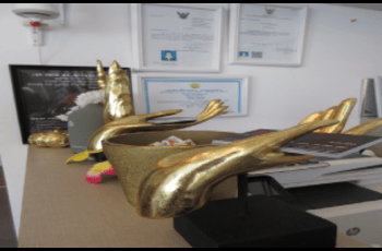 תמונת כרטיס