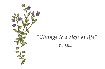 תמונת כרטיס