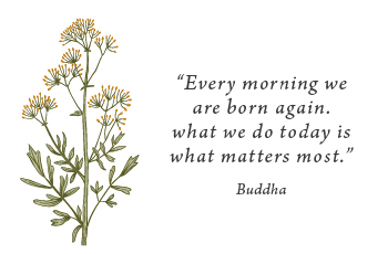 תמונת כרטיס