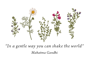 תמונת כרטיס