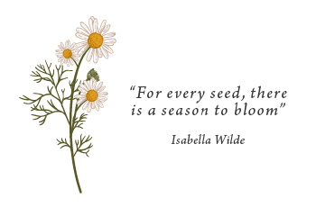 תמונת כרטיס