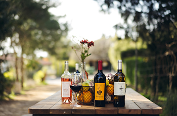 תמונת כרטיס