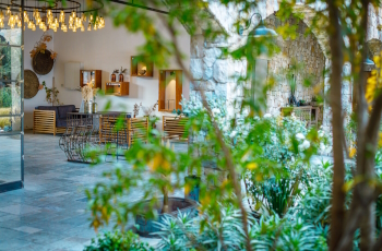 תמונת כרטיס